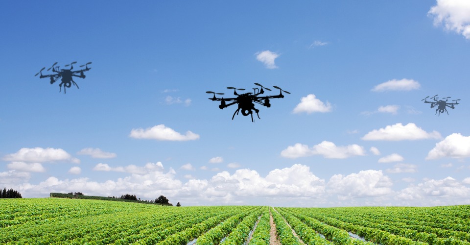 plantages drones