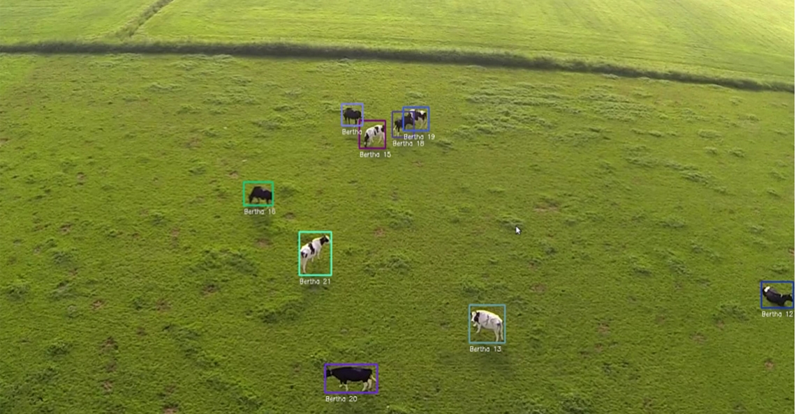 1459442307-birds-ai-dutch-uas-delft-aerial-robotics-cows-animals.jpg