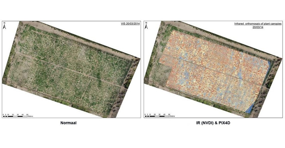 drone agricultural nvdi view